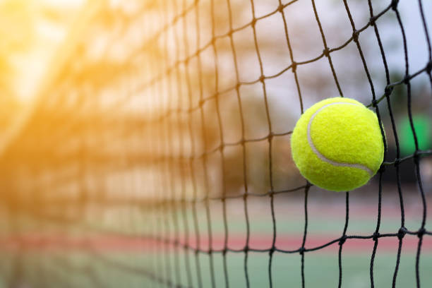 Long Reach Tennis Club Wins USTA Facility Award